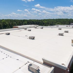 Flat-roof-service